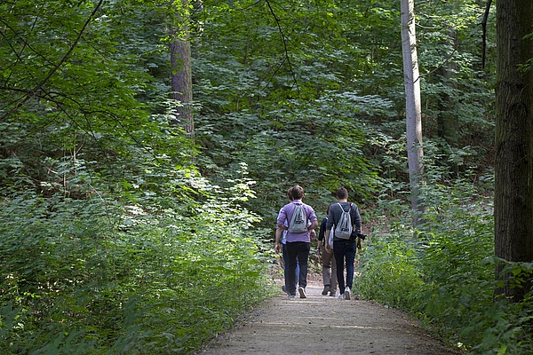 Teilnehmer der Rallye durch Crimmitschau laufen durch den Wald.
