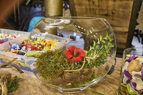 Arrangement aus Moos und einer roten Blüte in einem runden Glas
