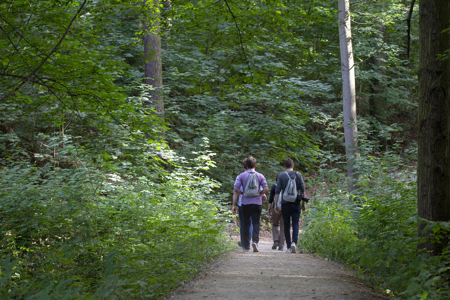 Teilnehmer der Rallye durch Crimmitschau laufen durch den Wald.